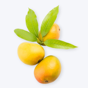 Devgad Alphonso Mango (Small 150-180g)
