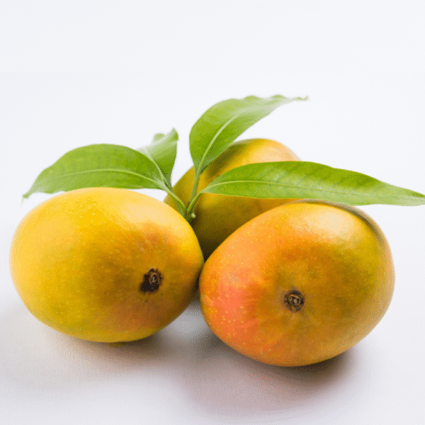 Ratnagiri Alphonso Mango (Super Jumbo 280-320g)