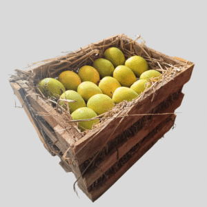 Ratnagiri Hapus Peti (Raw Alphonso Mango)