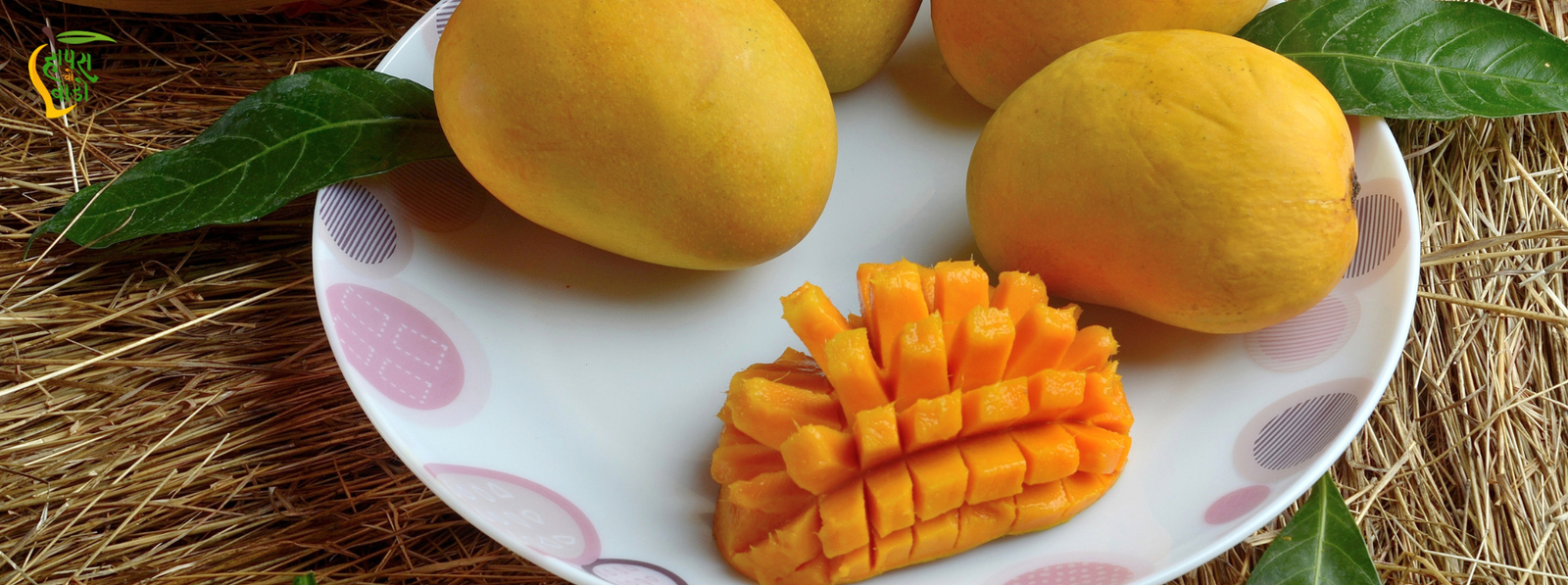 Alphonso Mango in Pune: A Complete Guide to Buying Authentic Hapus Mango This Summer