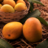 Ratnagiri Hapus (Alphonso Mango)
